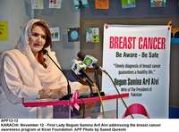 Filename=app13-12karachi.jpg
Filesize=238KiB
Dimensions=1200x890
Date added=Nov 12, 2020 app13-12karachi.jpg