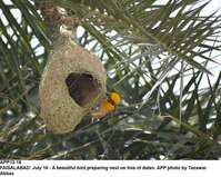 Filename=app13-16ifaisalabad.jpg
Filesize=220KiB
Dimensions=1200x957
Date added=Jul 16, 2020 app13-16ifaisalabad.jpg