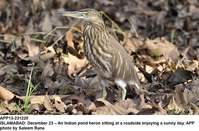 Filename=app13-231220islamabad.jpg
Filesize=212KiB
Dimensions=1200x791
Date added=Dec 23, 2020 app13-231220islamabad.jpg