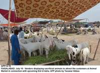 Filename=app14-16ifaisalabad.jpg
Filesize=229KiB
Dimensions=1200x879
Date added=Jul 16, 2020 app14-16ifaisalabad.jpg