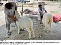 Filename=app14-19faisalabad.jpg
Filesize=212KiB
Dimensions=1200x897
Date added=Jul 19, 2020 app14-19faisalabad.jpg