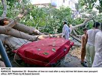 Filename=app14-20karachi.jpg
Filesize=293KiB
Dimensions=1200x902
Date added=Sep 20, 2020 app14-20karachi.jpg