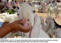 Filename=app15-16ifaisalabad.jpg
Filesize=123KiB
Dimensions=1200x857
Date added=Jul 16, 2020 app15-16ifaisalabad.jpg