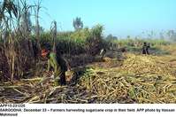 Filename=app15-231220sargodha.jpg
Filesize=308KiB
Dimensions=1200x795
Date added=Dec 23, 2020 app15-231220sargodha.jpg
