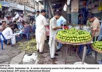 Filename=app15-30faisalabad.jpg
Filesize=262KiB
Dimensions=1200x848
Date added=Sep 30, 2020 app15-30faisalabad.jpg