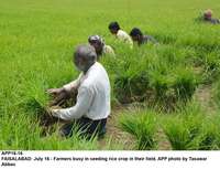 Filename=app16-16ifaisalabad.jpg
Filesize=312KiB
Dimensions=1200x920
Date added=Jul 16, 2020 app16-16ifaisalabad.jpg