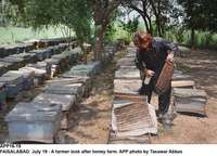 Filename=app16-19faisalabad.jpg
Filesize=281KiB
Dimensions=1200x866
Date added=Jul 19, 2020 app16-19faisalabad.jpg
