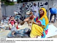 Filename=app16-20karachi.jpg
Filesize=256KiB
Dimensions=1200x906
Date added=Sep 20, 2020 app16-20karachi.jpg