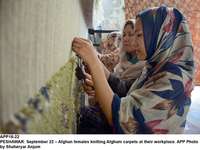 Filename=app16-22peshawar.jpg
Filesize=158KiB
Dimensions=1200x900
Date added=Sep 22, 2020 app16-22peshawar.jpg