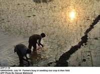 Filename=app17-19sargodha.jpg
Filesize=252KiB
Dimensions=1200x885
Date added=Jul 19, 2020 app17-19sargodha.jpg