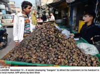 Filename=app19-12lahore.jpg
Filesize=424KiB
Dimensions=1200x889
Date added=Nov 12, 2020 app19-12lahore.jpg