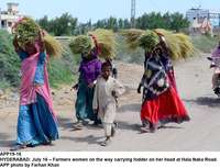 Filename=app19-16hyderabad.jpg
Filesize=251KiB
Dimensions=1200x920
Date added=Jul 16, 2020 app19-16hyderabad.jpg