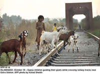 Filename=app19-18islamabad~0.jpg
Filesize=189KiB
Dimensions=1200x891
Date added=Oct 18, 2020 app19-18islamabad~0.jpg
