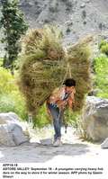 Filename=app19-18skardu.jpg
Filesize=369KiB
Dimensions=797x1319
Date added=Sep 18, 2020 app19-18skardu.jpg