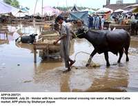 Filename=app19-200721peshawar.jpg
Filesize=289KiB
Dimensions=1200x918
Date added=Jul 20, 2021 app19-200721peshawar.jpg