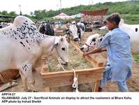 Filename=app19-27islamabad.jpg
Filesize=363KiB
Dimensions=1200x909
Date added=Jul 27, 2020 app19-27islamabad.jpg
