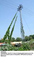 Filename=app19-28sargodha.jpg
Filesize=159KiB
Dimensions=800x1345
Date added=Jul 28, 2020 app19-28sargodha.jpg