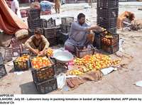 Filename=app20-05lahore.jpg
Filesize=262KiB
Dimensions=1200x890
Date added=Jul 05, 2020 app20-05lahore.jpg