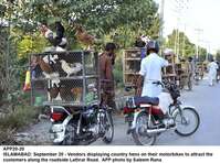 Filename=app20-20islamabad.jpg
Filesize=385KiB
Dimensions=1200x891
Date added=Sep 20, 2020 app20-20islamabad.jpg
