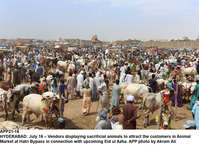 Filename=app21-16hyderabad.jpg
Filesize=340KiB
Dimensions=1200x875
Date added=Jul 16, 2020 app21-16hyderabad.jpg