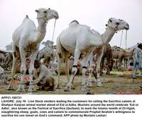Filename=app21-190721lahore.jpg
Filesize=261KiB
Dimensions=1200x1016
Date added=Jul 19, 2021 app21-190721lahore.jpg