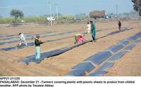 Filename=app21-211220faisalabad.jpg
Filesize=202KiB
Dimensions=1200x744
Date added=Dec 21, 2020 app21-211220faisalabad.jpg