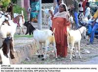 Filename=app21-26hyderabad.jpg
Filesize=251KiB
Dimensions=1200x888
Date added=Jul 26, 2020 app21-26hyderabad.jpg