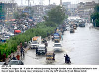 Filename=app21-28karachi.jpg
Filesize=255KiB
Dimensions=1200x896
Date added=Aug 28, 2020 app21-28karachi.jpg