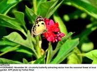 Filename=app22-04hyderabad.jpg
Filesize=171KiB
Dimensions=1200x886
Date added=Nov 04, 2020 app22-04hyderabad.jpg