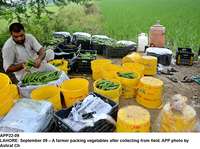 Filename=app22-09lahore.jpg
Filesize=315KiB
Dimensions=1200x894
Date added=Sep 09, 2020 app22-09lahore.jpg