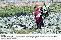 Filename=app22-17multan.jpg
Filesize=318KiB
Dimensions=1200x801
Date added=Oct 17, 2020 app22-17multan.jpg