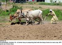 Filename=app22-18hyderabad.jpg
Filesize=252KiB
Dimensions=1200x890
Date added=Oct 18, 2020 app22-18hyderabad.jpg