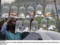 Filename=app22-18lahore.jpg
Filesize=193KiB
Dimensions=1200x896
Date added=Jul 18, 2020 app22-18lahore.jpg