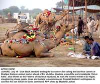 Filename=app22-190721lahore.jpg
Filesize=324KiB
Dimensions=1200x1005
Date added=Jul 19, 2021 app22-190721lahore.jpg