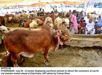 Filename=app22-26hyderabad.jpg
Filesize=222KiB
Dimensions=1200x888
Date added=Jul 26, 2020 app22-26hyderabad.jpg