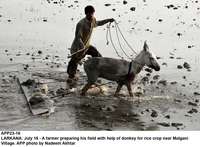 Filename=app23-16larkana.jpg
Filesize=218KiB
Dimensions=1200x884
Date added=Jul 16, 2020 app23-16larkana.jpg