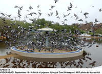 Filename=app23-18hyderabad.jpg
Filesize=244KiB
Dimensions=1200x868
Date added=Sep 18, 2020 app23-18hyderabad.jpg