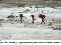 Filename=app24-18hyderabad.jpg
Filesize=232KiB
Dimensions=1200x900
Date added=Sep 18, 2020 app24-18hyderabad.jpg