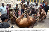 Filename=app24-230721karachi.jpg
Filesize=353KiB
Dimensions=1200x791
Date added=Jul 23, 2021 app24-230721karachi.jpg