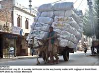 Filename=app25-05sargodha.jpg
Filesize=253KiB
Dimensions=1200x890
Date added=Jul 05, 2020 app25-05sargodha.jpg