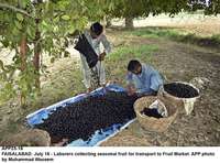 Filename=app25-18faisalabad.jpg
Filesize=420KiB
Dimensions=1200x890
Date added=Jul 18, 2020 app25-18faisalabad.jpg