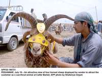Filename=app25-190721peshawar.jpg
Filesize=202KiB
Dimensions=1200x930
Date added=Jul 19, 2021 app25-190721peshawar.jpg