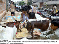 Filename=app25-230721karachi.jpg
Filesize=351KiB
Dimensions=1200x885
Date added=Jul 23, 2021 app25-230721karachi.jpg