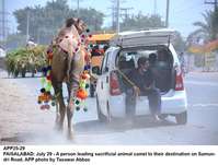 Filename=app25-29faisalabad.jpg
Filesize=166KiB
Dimensions=1200x909
Date added=Jul 29, 2020 app25-29faisalabad.jpg