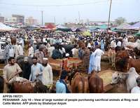 Filename=app26-190721peshawar.jpg
Filesize=243KiB
Dimensions=1200x924
Date added=Jul 19, 2021 app26-190721peshawar.jpg