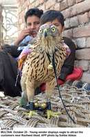 Filename=app26-25multan.jpg
Filesize=246KiB
Dimensions=846x1289
Date added=Oct 25, 2020 app26-25multan.jpg