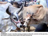 Filename=app26-28hyderabad.jpg
Filesize=182KiB
Dimensions=1200x897
Date added=Jul 28, 2020 app26-28hyderabad.jpg