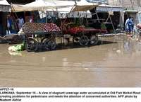 Filename=app27-16larkana.jpg
Filesize=233KiB
Dimensions=1200x866
Date added=Sep 16, 2020 app27-16larkana.jpg