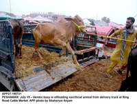Filename=app27-190721peshawar.jpg
Filesize=286KiB
Dimensions=1200x906
Date added=Jul 19, 2021 app27-190721peshawar.jpg