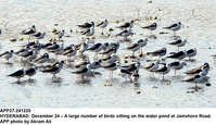 Filename=app27-241220hyderabad.jpg
Filesize=301KiB
Dimensions=1200x693
Date added=Dec 24, 2020 app27-241220hyderabad.jpg
